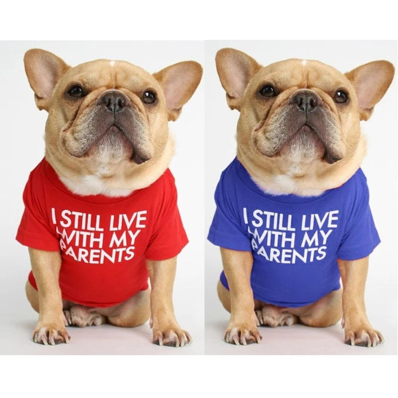 Summer Dog Shirt Letter Print Puppy T Shirt Spring Dog Clothes for Small Medium Dogs French Bulldog English Bulldog Apparel