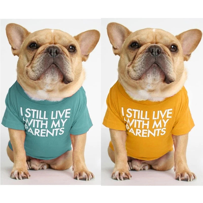 Summer Dog Shirt Letter Print Puppy T Shirt Spring Dog Clothes for Small Medium Dogs French Bulldog English Bulldog Apparel