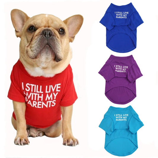 Summer Dog Shirt Letter Print Puppy T Shirt Spring Dog Clothes for Small Medium Dogs French Bulldog English Bulldog Apparel